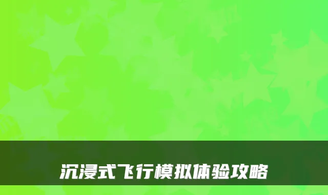 沉浸式飞行模拟体验攻略