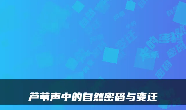 芦苇声中的自然密码与变迁