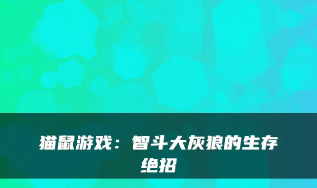 猫鼠游戏:智斗大灰狼的生存绝招