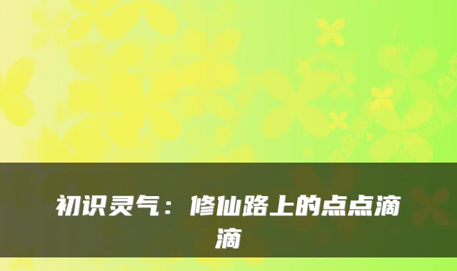 初识灵气：修仙路上的点点滴滴