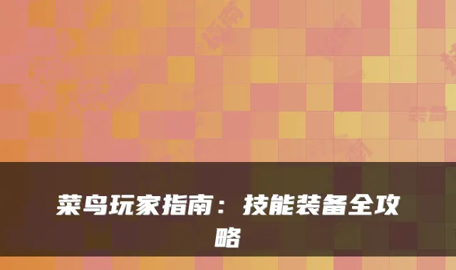 菜鸟玩家指南：技能装备全攻略