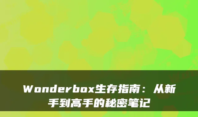 Wonderbox生存指南：从新手到高手的秘密笔记