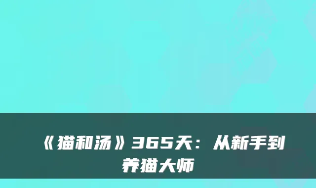 《猫和汤》365天：从新手到养猫大师