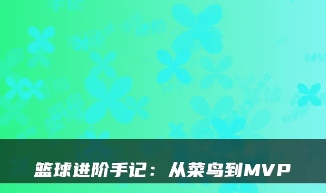 篮球进阶手记：从菜鸟到MVP