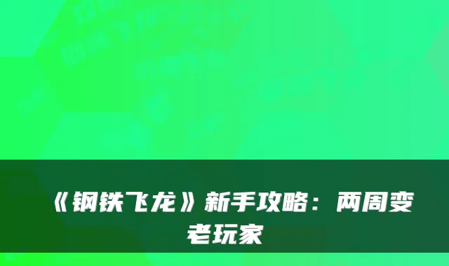 《钢铁飞龙》新手攻略:两周变老玩家