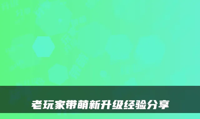 老玩家带萌新升级经验分享