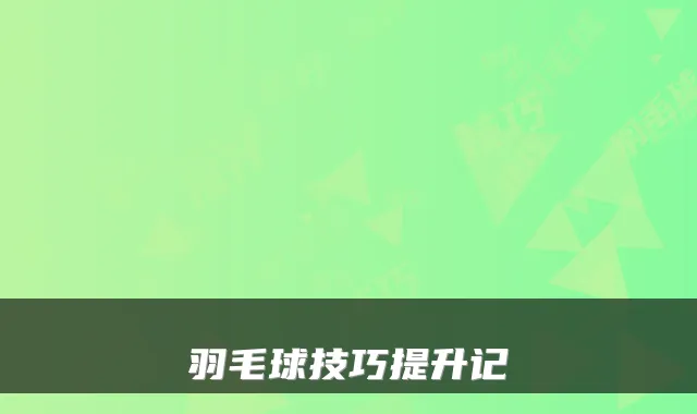羽毛球技巧提升记