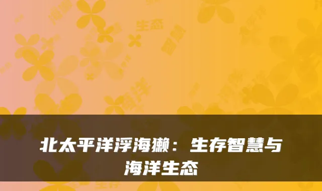 北太平洋浮海獭:生存智慧与海洋生态