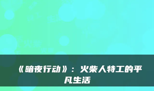 《暗夜行动》：火柴人特工的平凡生活