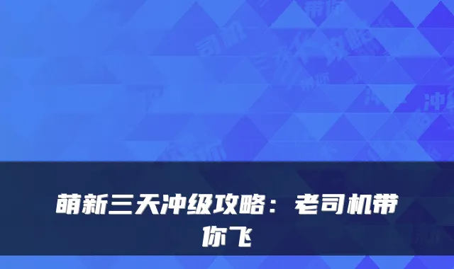 萌新三天冲级攻略：老司机带你飞