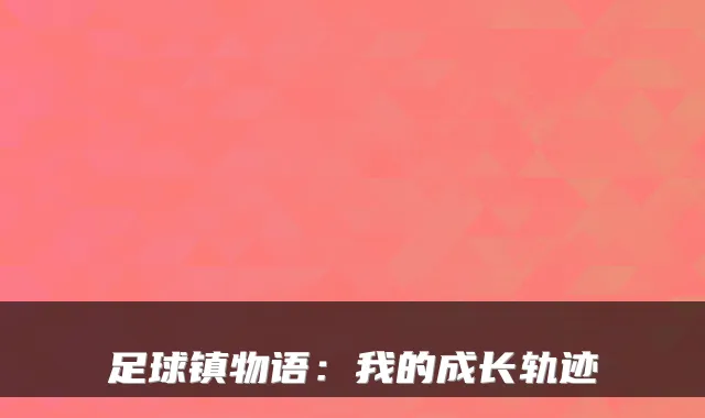 足球镇物语：我的成长轨迹