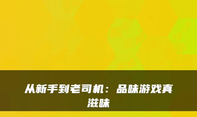 从新手到老司机：品味游戏真滋味