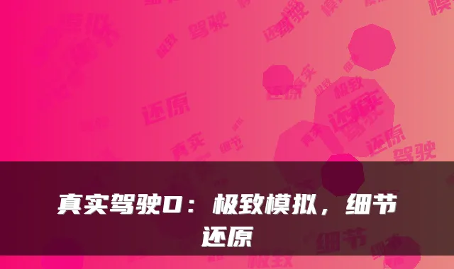 真实驾驶D：模拟，细节还原