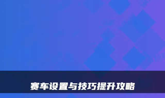 赛车设置与技巧提升攻略