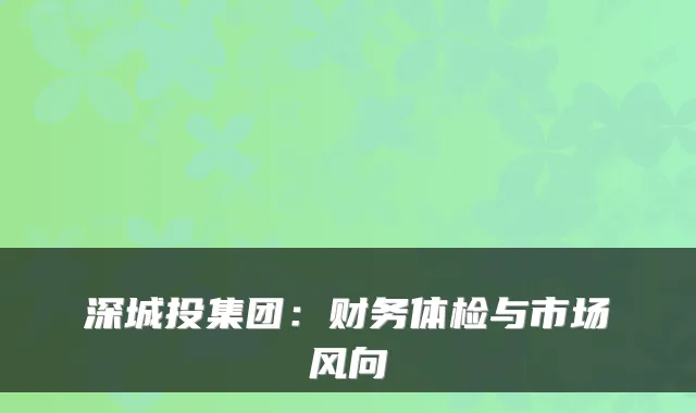 深城投集团：财务体检与市场风向