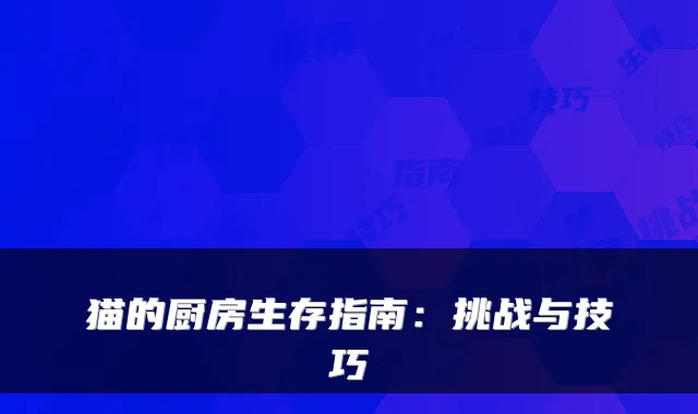 猫的厨房生存指南：挑战与技巧