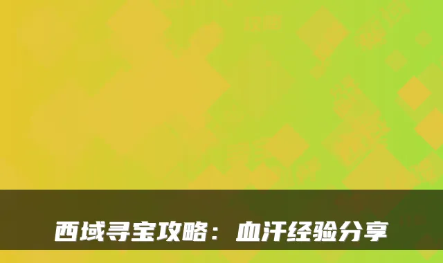 西域寻宝攻略：血汗经验分享