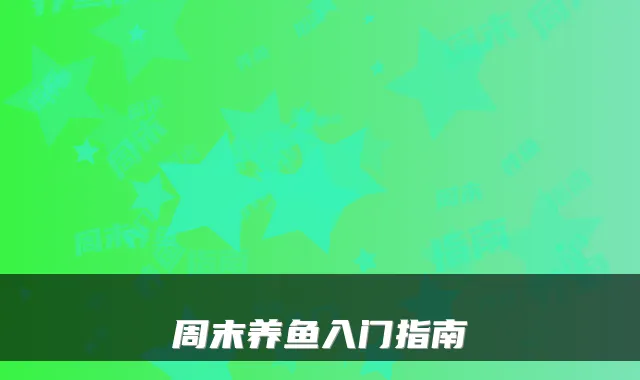 周末养鱼入门指南