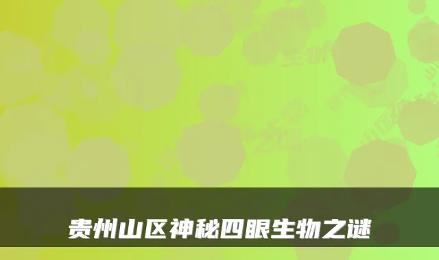 贵州山区神秘四眼生物之谜
