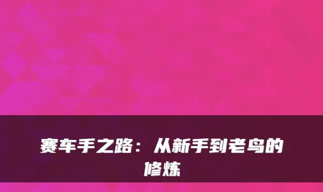 赛车手之路：从新手到老鸟的修炼
