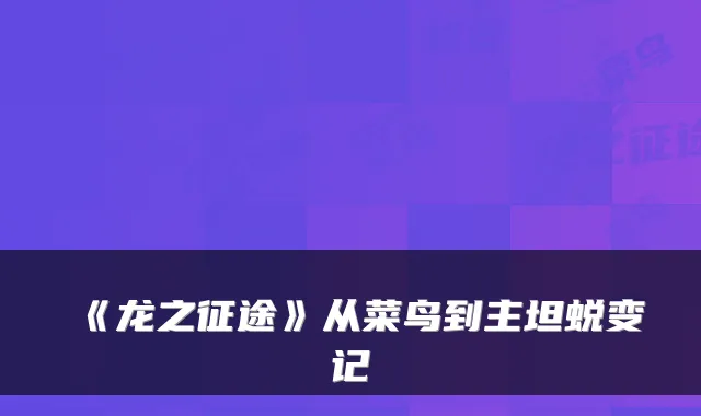《龙之征途》从菜鸟到主坦蜕变记