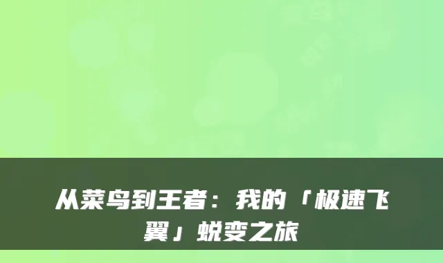 从菜鸟到王者：我的「极速飞翼」蜕变之旅