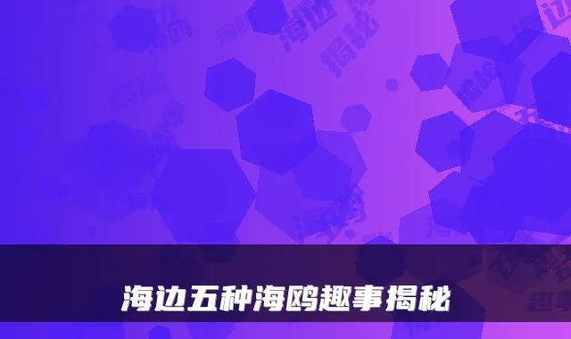 海边五种海鸥趣事揭秘