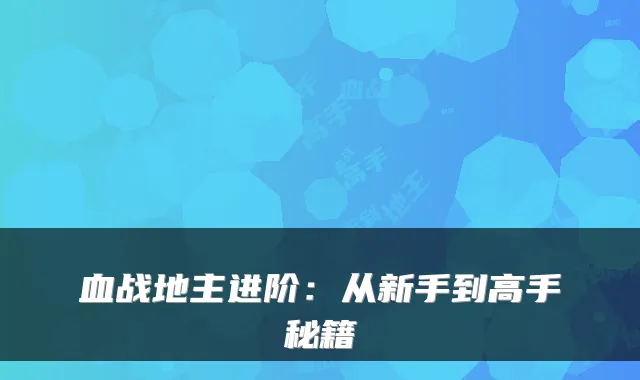 血战地主进阶:从新手到高手秘籍