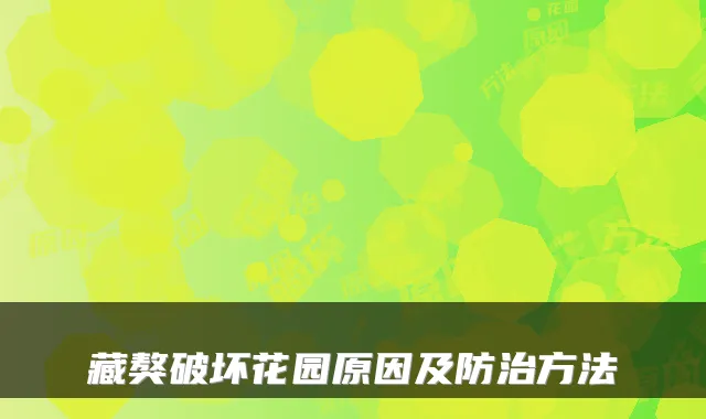 藏獒破坏花园原因及防治方法