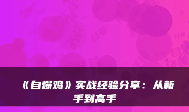 《自爆鸡》实战经验分享：从新手到高手