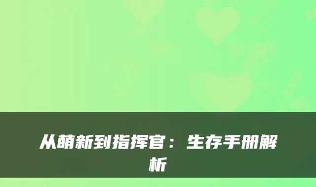 从萌新到指挥官：生存手册解析