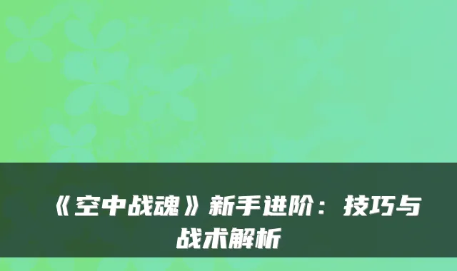 《空中战魂》新手进阶：技巧与战术解析