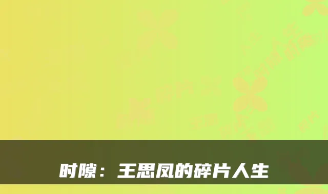 时隙：王思凤的碎片人生