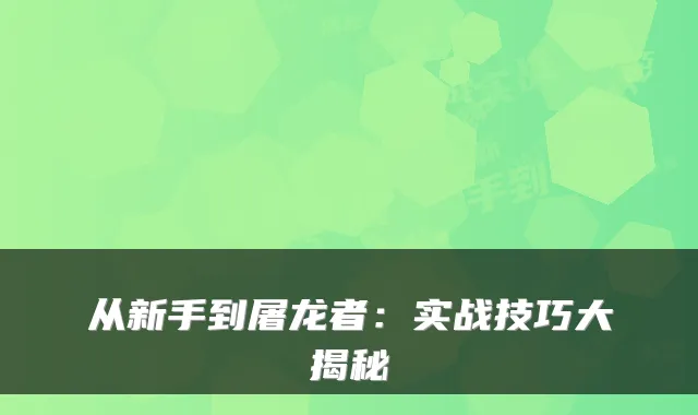 从新手到屠龙者：实战技巧大揭秘