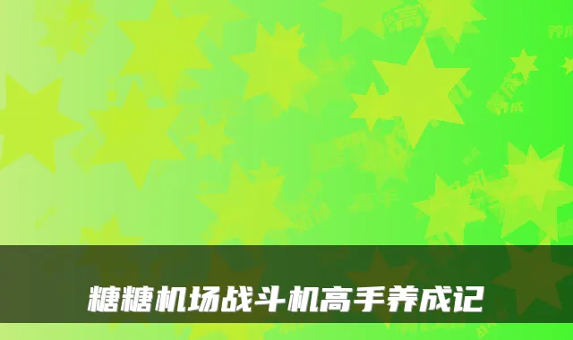 糖糖机场战斗机高手养成记