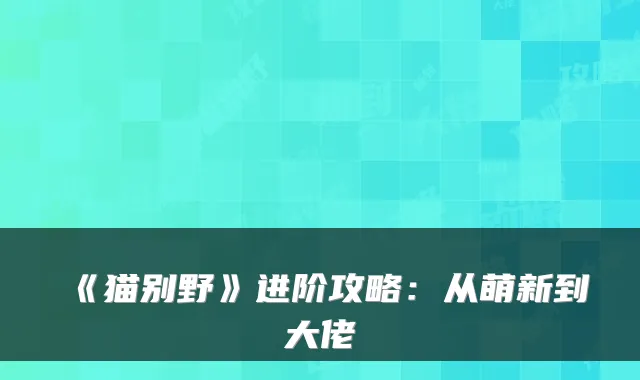 《猫别野》进阶攻略：从萌新到大佬