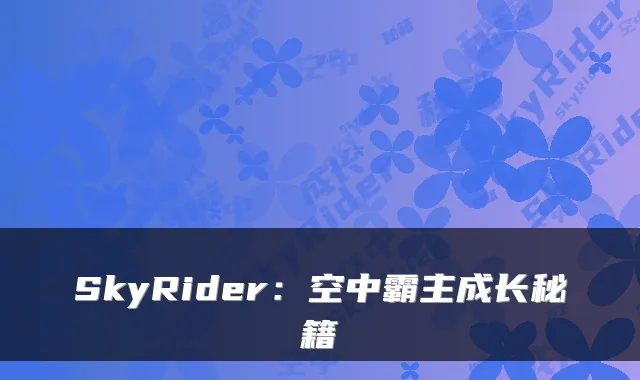 SkyRider:空中霸主成长秘籍