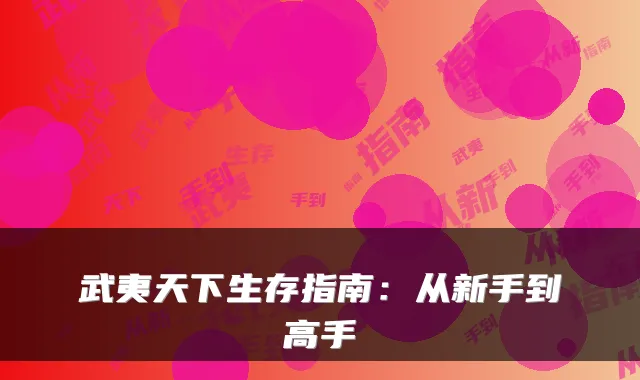 武夷天下生存指南：从新手到高手