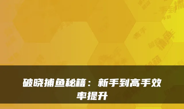破晓捕鱼秘籍:新手到高手效率提升