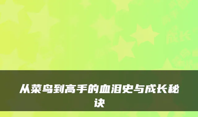 从菜鸟到高手的血泪史与成长秘诀