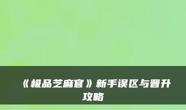 《芝麻官》新手误区与晋升攻略