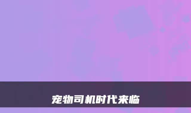 宠物司机时代来临