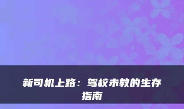 新司机上路：驾校未教的生存指南