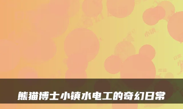 熊猫博士小镇水电工的奇幻日常