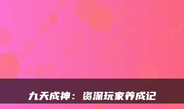 九天成神：资深玩家养成记