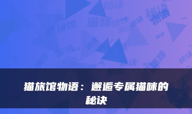 猫旅馆物语:邂逅专属猫咪的秘诀