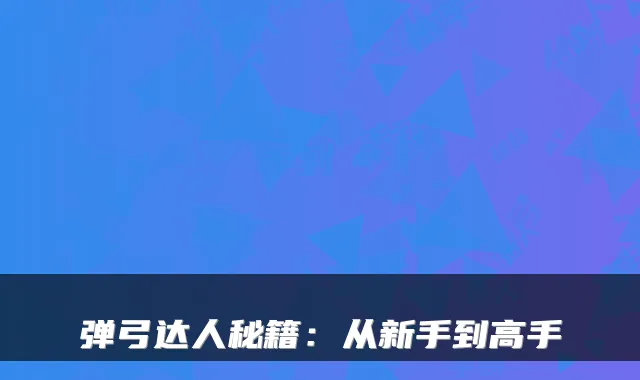 弹弓达人秘籍：从新手到高手