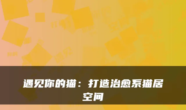 遇见你的猫：打造系猫居空间