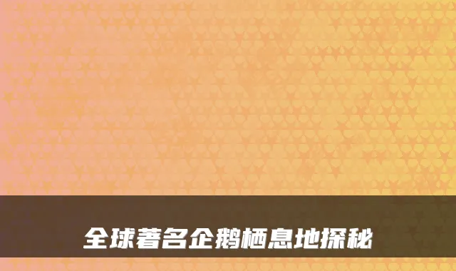 全球著名企鹅栖息地探秘