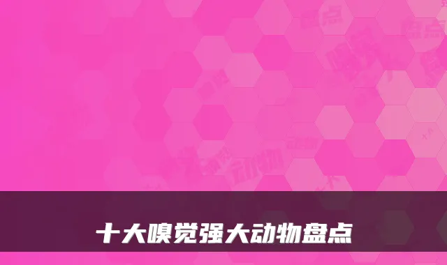 十大嗅觉强大动物盘点